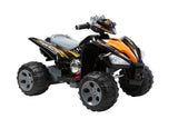 Roadster Motorcross Boys Girls Kids 6V Rechargeable Battery Electric Ride On Quad Bike ATV